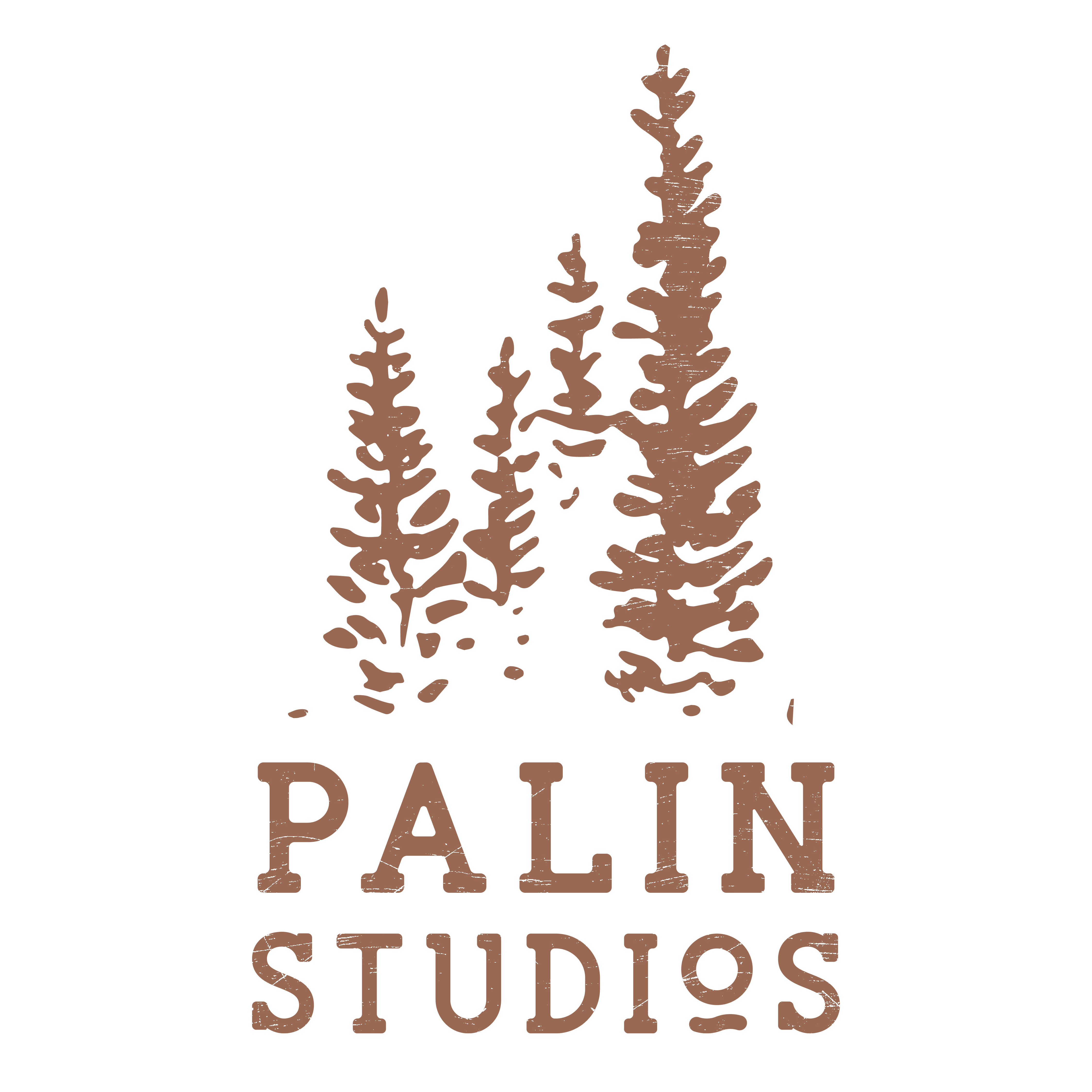 Palin Studios